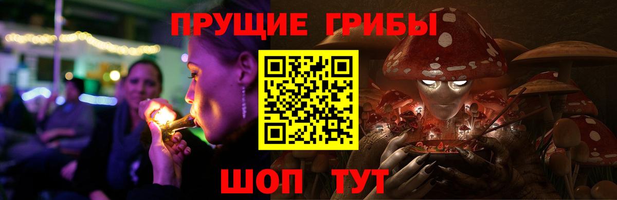 Псилоцибиновые грибы GOLDEN TEACHER Лянтор